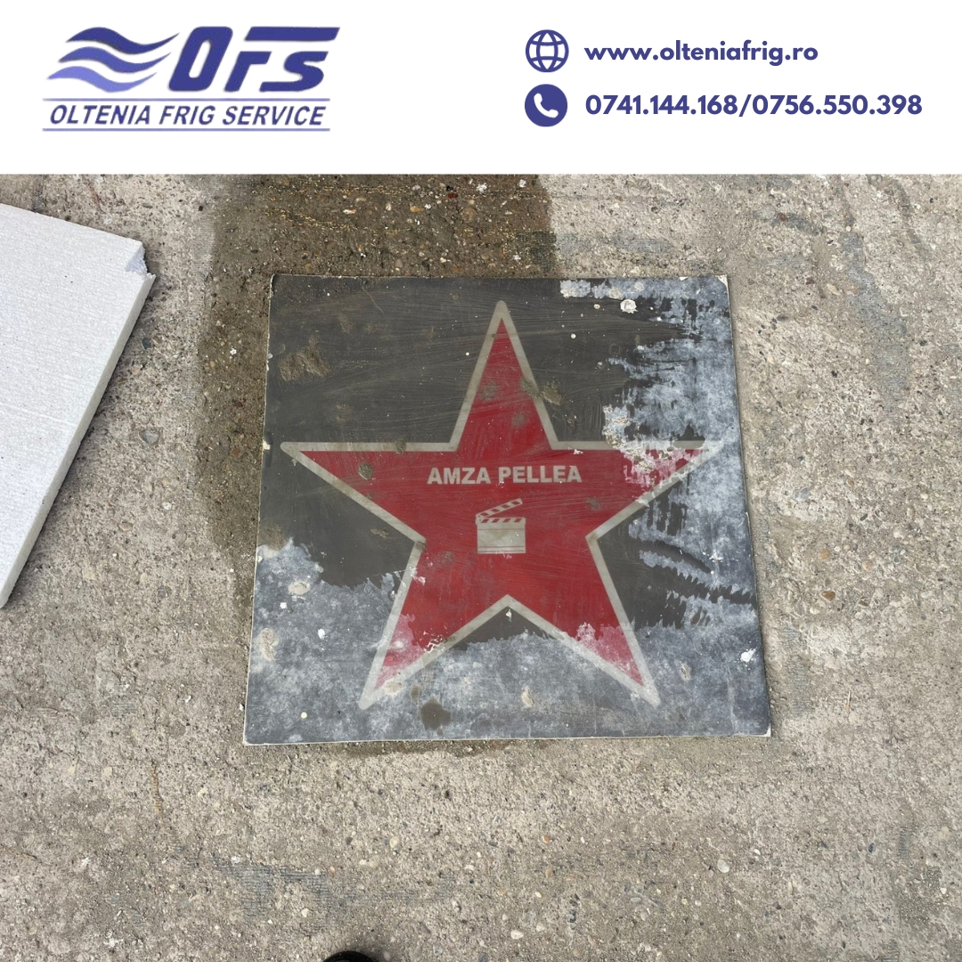 Casa memorială Amza Pellea imagine 7