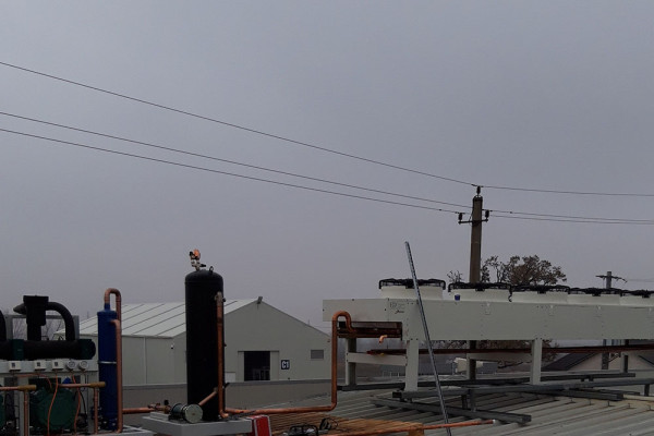 Mesopotamia Oradea Centru Vechi